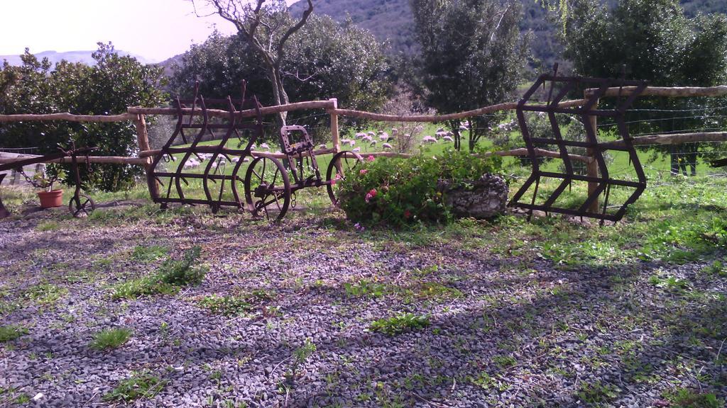 Agriturismo Cugumia Thiesi المظهر الخارجي الصورة