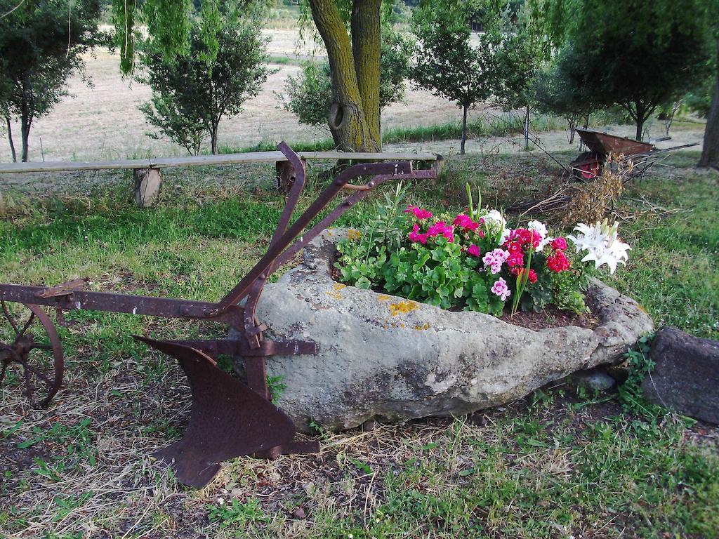 Agriturismo Cugumia Thiesi المظهر الخارجي الصورة